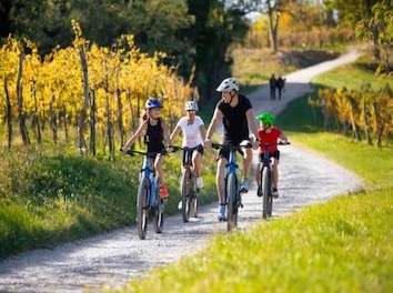 Four e-bike riders - two children and two adults - cycling on a meandering path with grass and trees